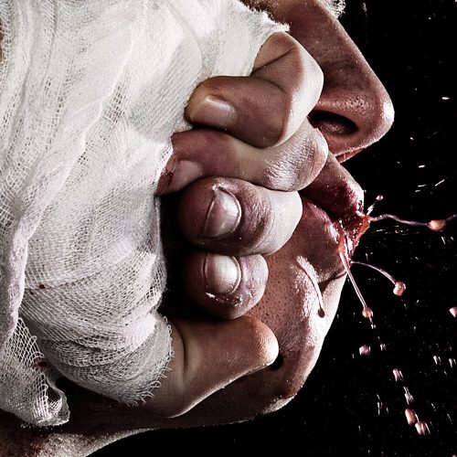 LIB-027-Fight-Extension-Cover