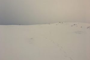 LIB-023-Gusty-Wind-Site-07
