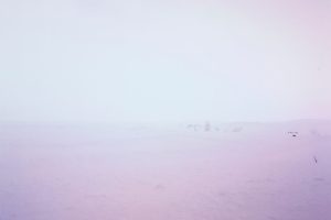 LIB-023-Gusty-Wind-Site-19