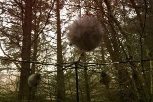 LIB-029-Motion-Of-Air-Site-09