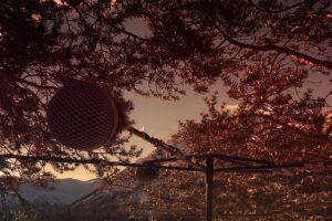 LIB-029-Motion-Of-Air-Site-12