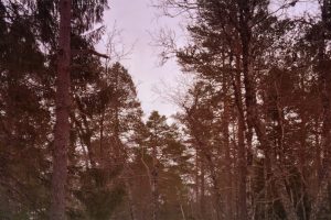 LIB-029-Motion-Of-Air-Site-17