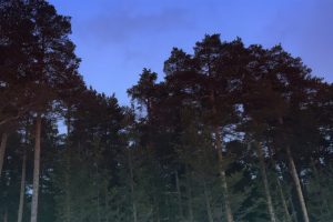 LIB-029-Motion-Of-Air-Site-19