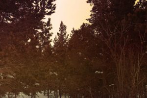 LIB-029-Motion-Of-Air-Site-20