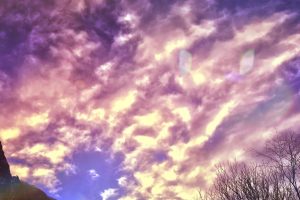 LIB-029-Motion-Of-Air-Site-26