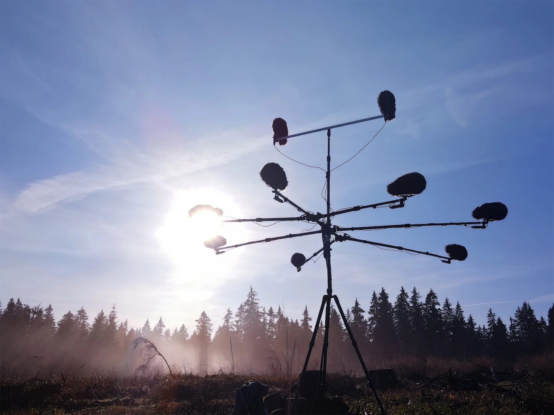 LIB-030-Immersive-Birds-Site-28 LIB-030-Immersive-Birds-Site-28
