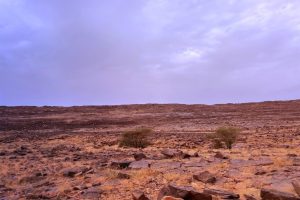 LIB-032-Heart-Of-Wind-Site-32