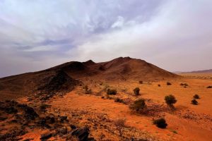 LIB-032-Heart-Of-Wind-Site-34