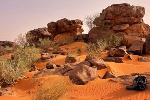 LIB-032-Heart-Of-Wind-Site-50