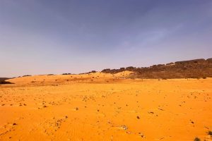 LIB-032-Heart-Of-Wind-Site-52