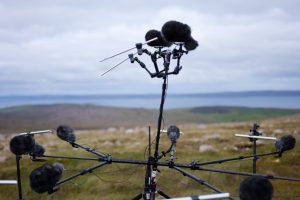 LIB-034-Shapes-Of-Wind-Site-07