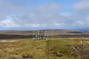 LIB-034-Shapes-Of-Wind-Site-20