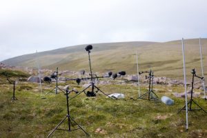 LIB-034-Shapes-Of-Wind-Site-27
