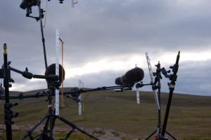 LIB-034-Shapes-Of-Wind-Site-32