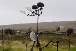 LIB-034-Shapes-Of-Wind-Site-39
