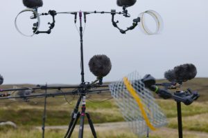 LIB-034-Shapes-Of-Wind-Site-46