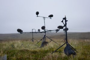 LIB-034-Shapes-Of-Wind-Site-55