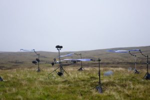 LIB-034-Shapes-Of-Wind-Site-61
